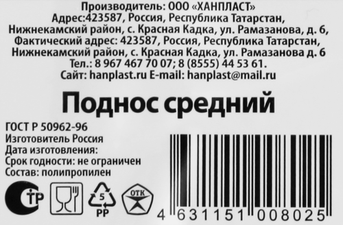 Поднос HANPLAST 37х29см, крупный план