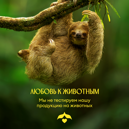 Гель для душа SOLZAO Amazonia In Da City с экстрактом лайма, 400мл, крупный план