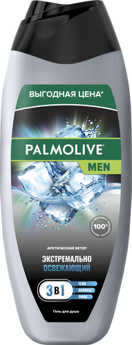 Гель для душа PALMOLIVE Men 3в1 Арктический ветер, для тела, волос и лица, 450мл, картинка