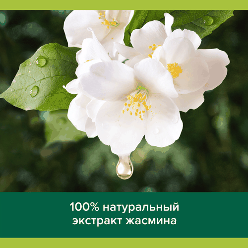 Гель для душа PALMOLIVE Роскошь масел с экстрактами жасмина, виноградной косточки и маслами, 500мл, изображение