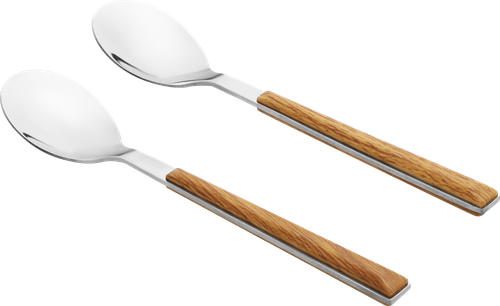 Набор ложек чайных HOMECLUB Wood, нержавеющая сталь, пластик, Арт. SF190927, крупный план