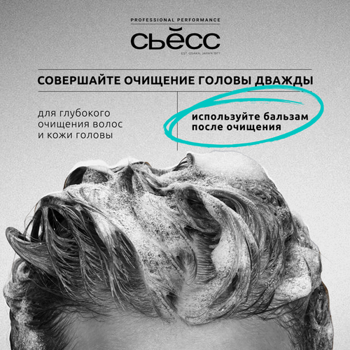 Шампунь СЬЁСС Detox, 450мл, изображение