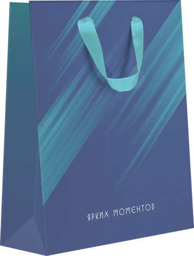 Пакет подарочный ПАКЕТИКО Arctic, 31,5х25,5х11см, эффект, Арт. LVT, вид