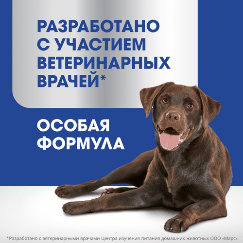 Лакомство для собак PERFECT FIT Говядина и мята, для здоровья зубов и полости рта, 130г, изображение