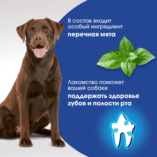 Лакомство для собак PERFECT FIT Говядина и мята, для здоровья зубов и полости рта, 130г, фотография
