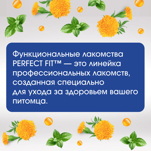 Лакомство для собак PERFECT FIT Говядина и мята, для здоровья зубов и полости рта, 130г, изображение