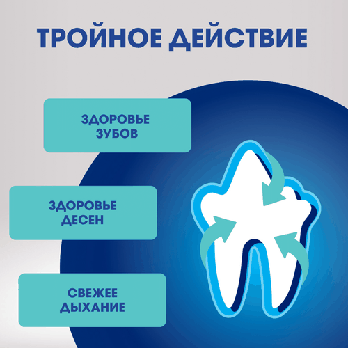 Лакомство для собак PERFECT FIT Говядина и мята, для здоровья зубов и полости рта, 130г, фотография