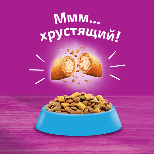Корм сухой для взрослых кошек WHISKAS с лососем, 1,3кг, вид