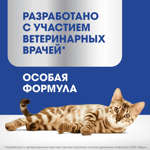 Лакомство для кошек PERFECT FIT Immunity с курицей и добавлением экстракта бархатцев, 50г, крупный план