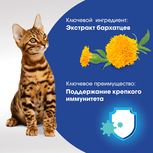 Лакомство для кошек PERFECT FIT Immunity с курицей и добавлением экстракта бархатцев, 50г, вид