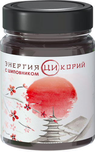 Экстракт цикория ЭНЕРГИЯ ЦИ с шиповником, 300г, вид