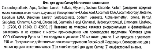 Гель для душа CAMAY Магическое заклинание, 750мл, фотография