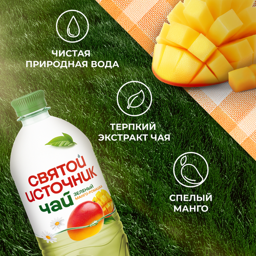 Чай холодный зеленый СВЯТОЙ ИСТОЧНИК Манго-ромашка, 1л, вид