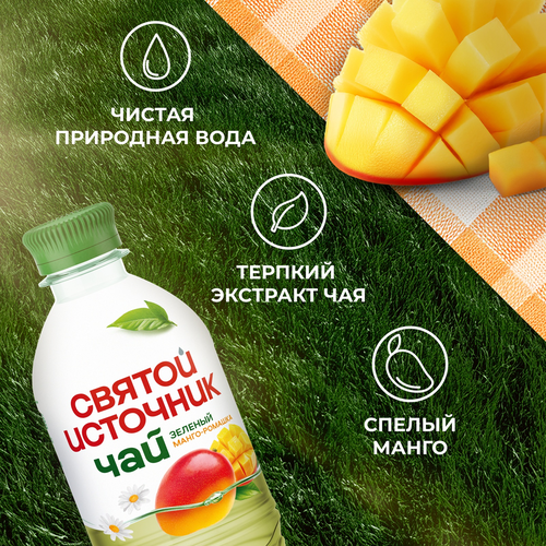 Чай холодный зеленый СВЯТОЙ ИСТОЧНИК Манго-ромашка, негазированный, 0.5л, изображение
