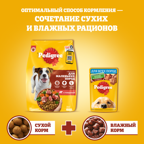 Корм сухой для взрослых собак PEDIGREE с говядиной, полнорационный, для мелких, 2000г, вид