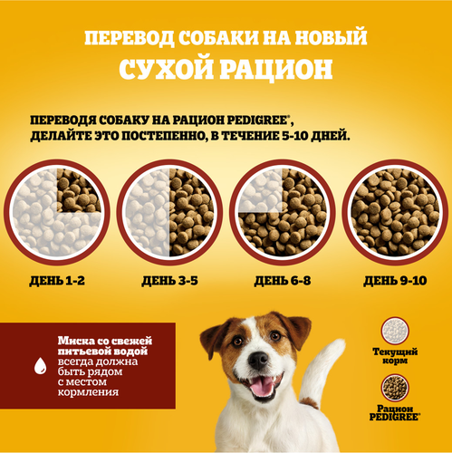 Корм сухой для взрослых собак PEDIGREE с говядиной, полнорационный, для мелких, 2000г, вид