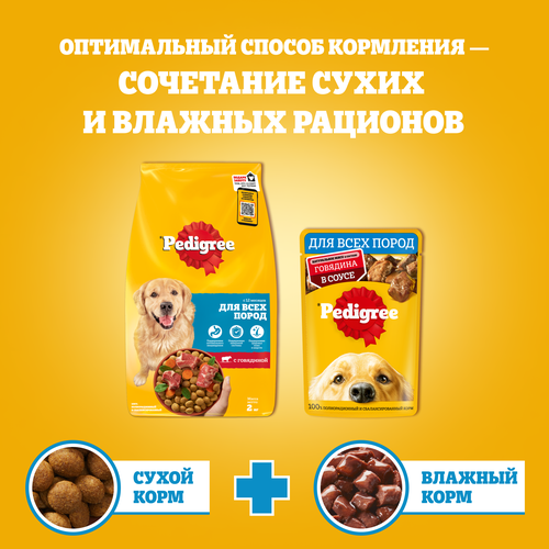 Корм сухой для взрослых собак PEDIGREE полнорационный, для всех пород, 2000г, вид