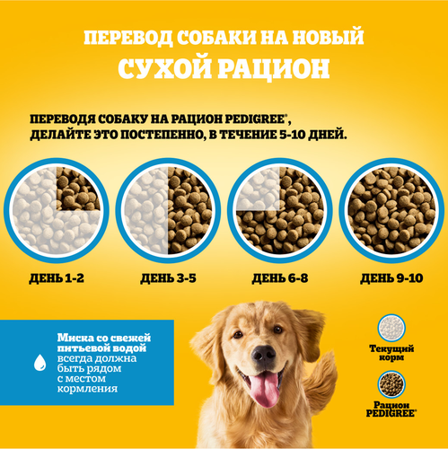 Корм сухой для взрослых собак PEDIGREE полнорационный, для всех пород, 2000г, изображение