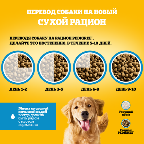 Корм сухой для взрослых собак PEDIGREE полнорационный, для всех пород, 2000г, изображение