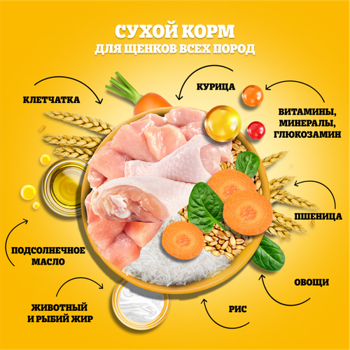 Корм сухой для щенков PEDIGREE полнорационный, с 2 месяцев, для всех пород, 2000г, фото