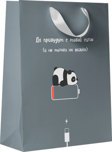 Пакет подарочный CITY HOME TRADE 25,5х31,5х11см, вид