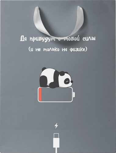 Пакет подарочный CITY HOME TRADE 25,5х31,5х11см, детальное фото