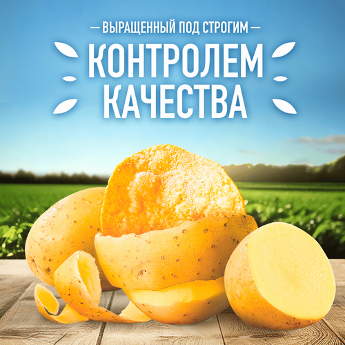 Чипсы картофельные LAY'S Рибай с перечным соусом, рифленые, 140г, фотография