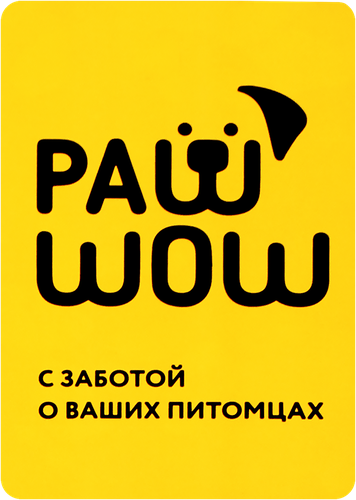Игрушка-тягалка PAW WOW Кость, крупный план
