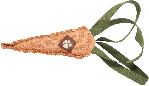Игрушка-тягалка PAW WOW Морковь с тройной ручкой, 25см, крупный план