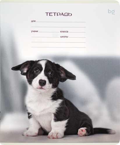 Тетрадь БИДЖИ Little animal, 12 листов, в клетку, фото