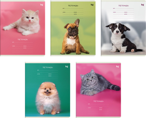 Тетрадь БИДЖИ Little animal, 12 листов, в клетку, фотография