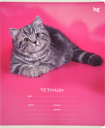 Тетрадь БИДЖИ Little animal, 12 листов, в клетку, изображение