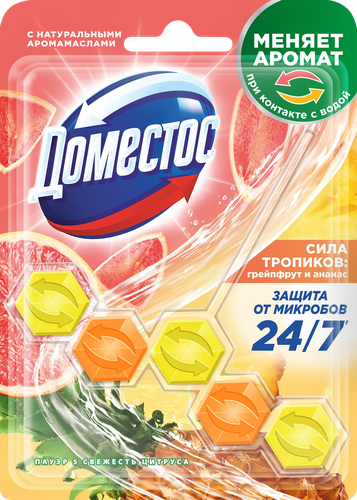 Блок для очищения унитаза ДОМЕСТОС Power 5 трио Свежесть цитруса, 50г, изображение