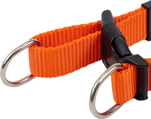 Ошейник для собак PAW WOW синтетический быстросъемный S 32–41см/M 35–50см/L 40–6см, крупный план
