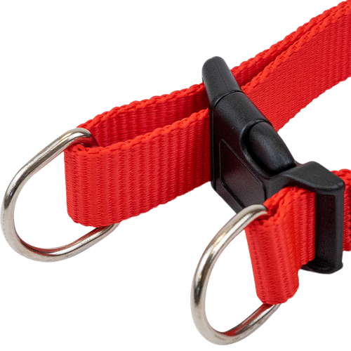 Ошейник для собак PAW WOW синтетический быстросъемный S 32–41см/M 35–50см/L 40–6см, фото