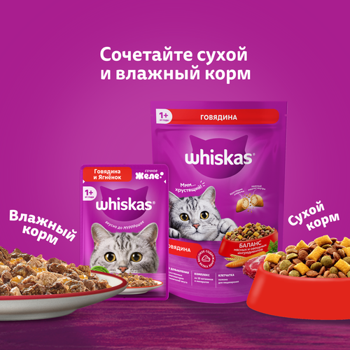 Корм консервированный для кошек WHISKAS Телятина, желе, 75г, фото