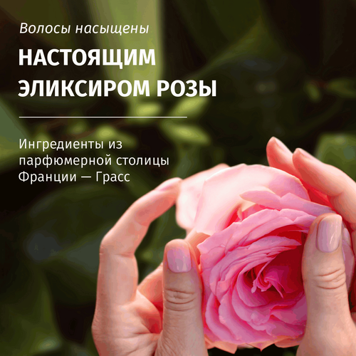 Кондиционер для волос HERBAL ESSENCES Все в 1, Аромат розы, несмываемый, 145мл, изображение
