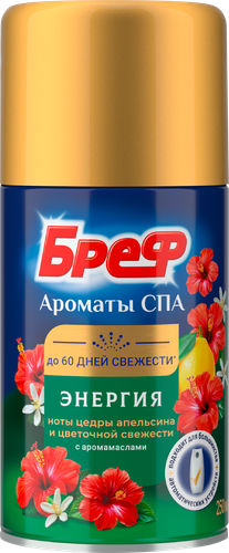 Баллон сменный для освежителя воздуха БРЕФ Ароматы СПА Энергия, автоматический, 250мл, вид