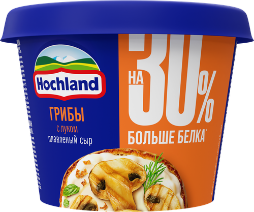 Сыр плавленый HOCHLAND Грибы с луком 40%, без змж, 230г, крупный план