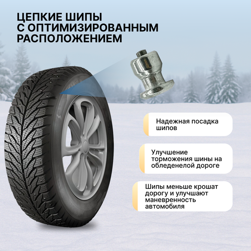 Автошина зимняя шипованная КАМА Alga 175/65 R14 (НК-531), Арт. 1151012, вид
