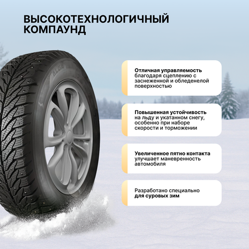 Автошина зимняя шипованная КАМА Alga 185/60 R14 (НК-531), Арт. 1151014, детальное фото