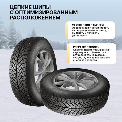 Автошина зимняя шипованная КАМА Alga 185/60 R14 (НК-531), Арт. 1151014, изображение