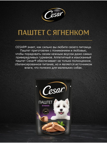 Корм влажный для взрослых собак CESAR Паштет с ягненком, 80г, картинка