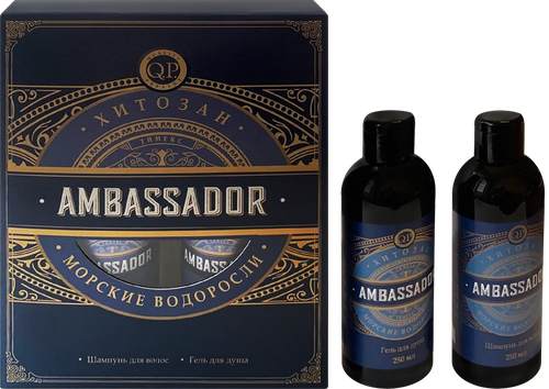 Набор косметический COMPLIMENT Q.P. Ambassador Шампунь для волос, 250мл+Гель для душа, 250мл, вид