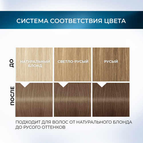 Краска стойкая ГЛИСС КУР Мусс 8-16 Холодный русый, 186г, картинка