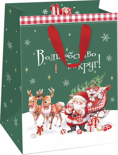 Пакет подарочный CITY HOME TRADE New Years Joy 19х14х9см, эффект, фотография