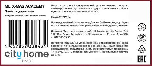 Пакет подарочный CITY HOME TRADE X-Mas Academy 23х19х10см, вид
