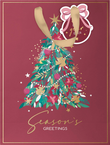 Пакет подарочный CITY HOME TRADE X-Mas Academy 23х19х10см, фото