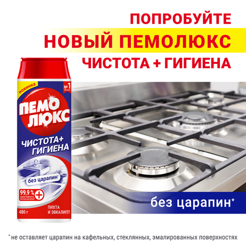 Порошок для чистки ПЕМОЛЮКС Чистота+Гигиена Пихта и эвкалипт, 480г, вид