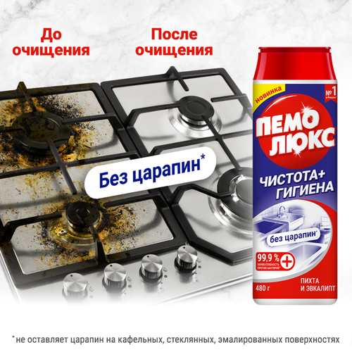 Порошок для чистки ПЕМОЛЮКС Чистота+Гигиена Пихта и эвкалипт, 480г, вид